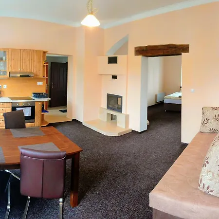 - Na Stare Radnici - Apartment Karlovy Vary