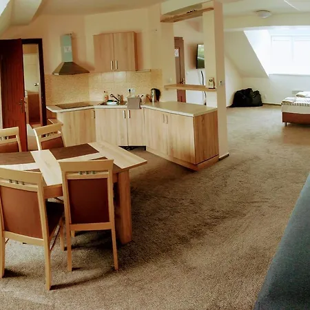 - Na Stare Radnici - Apartment Karlovy Vary
